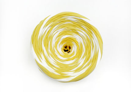 Hand dyed  yarn Nr.21