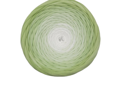 Hand dyed  yarn Nr.19