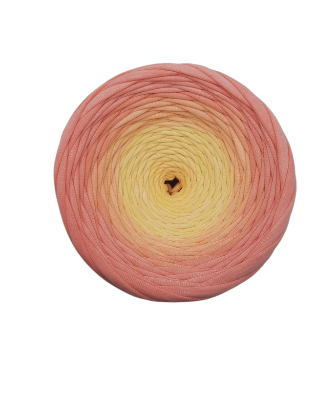 Hand dyed  yarn Nr.23